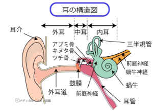 耳鳴り・難聴　鍼灸治療