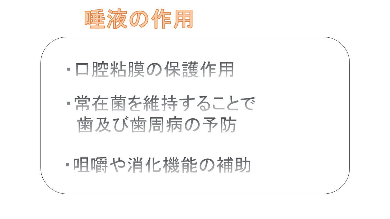 唾液の作用