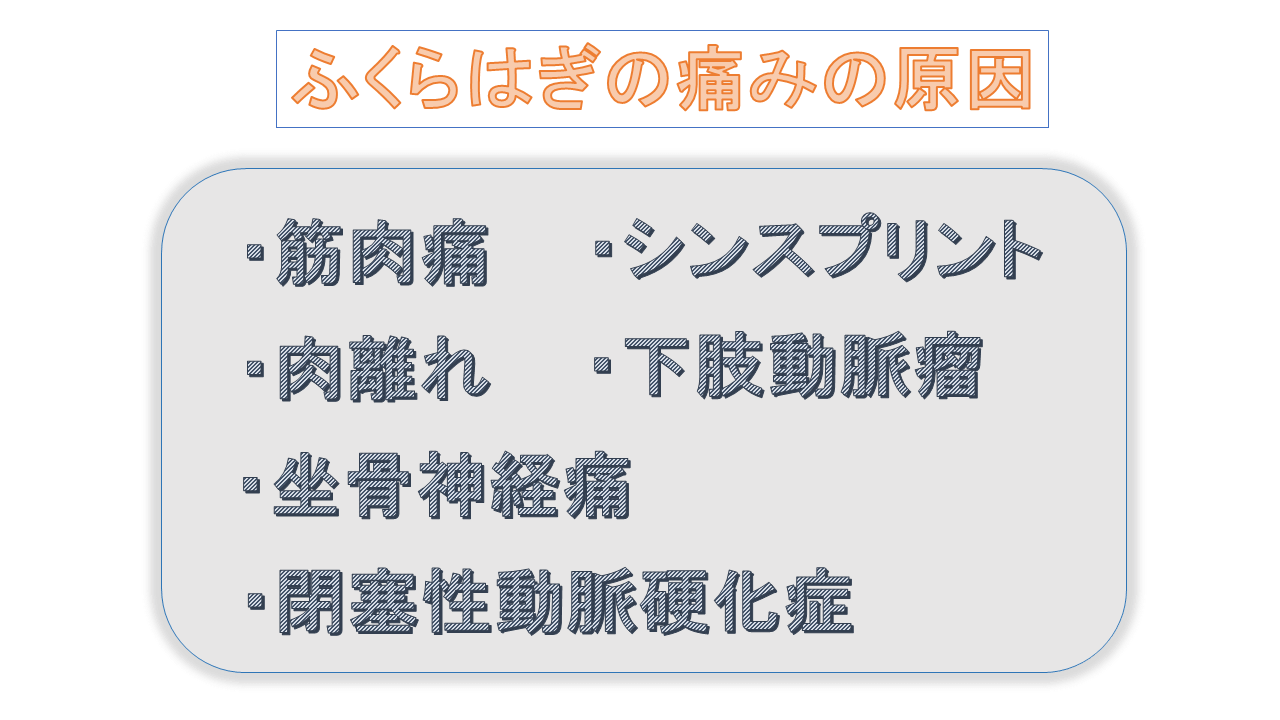 ふくらはぎの痛みの種類